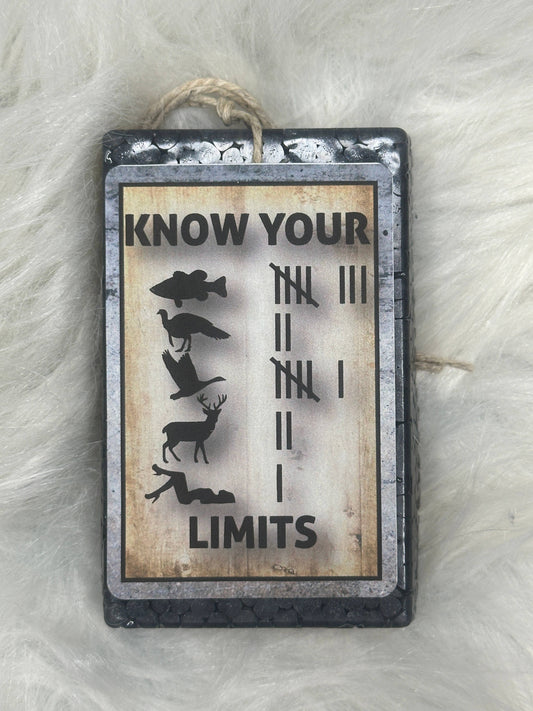 Know Your Limits: Leather